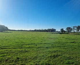 Rural / Farming commercial property for sale at 229 Wireless Road Waterloo WA 6228