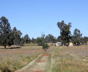 Rural / Farming commercial property sold at 143 Boree Street Grong Grong NSW 2652
