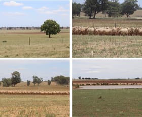 Rural / Farming commercial property sold at 179 Norris Lane West Wyalong NSW 2671