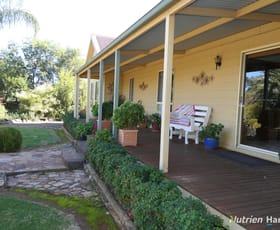 Rural / Farming commercial property sold at * Iona Station Girilambone NSW 2831