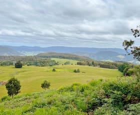 Rural / Farming commercial property for sale at 29371 Tasman Highway Weldborough TAS 7264