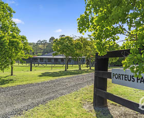 Rural / Farming commercial property sold at 1297 Mirannie Road Singleton NSW 2330