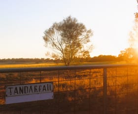 Rural / Farming commercial property sold at Tandarrah 2396 Boorr Hill Road Trundle NSW 2875