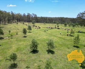 Rural / Farming commercial property for sale at 0 Monto Mount Perry Road Mount Perry QLD 4671
