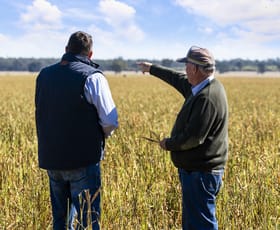Rural / Farming commercial property sold at 936 Punchs Creek Road Punchs Creek QLD 4357