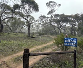 Rural / Farming commercial property sold at Allotment DRAY POLE HILL Road Yallunda Flat SA 5607