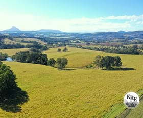 Rural / Farming commercial property for sale at 1284 Beaury Creek Road Woodenbong NSW 2476