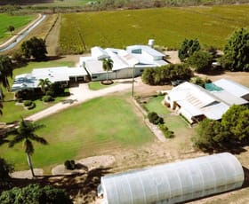 Rural / Farming commercial property for sale at 15 Minisini Road Dimbulah QLD 4872