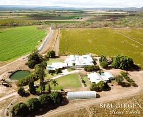 Rural / Farming commercial property for sale at 15 Minisini Road Dimbulah QLD 4872
