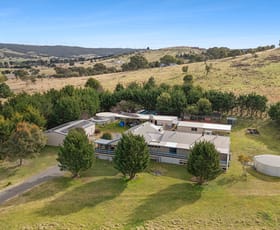Rural / Farming commercial property sold at 1142 Pomeroy Road Pomeroy NSW 2580
