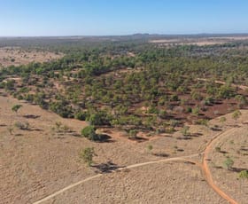 Rural / Farming commercial property sold at 606 Great Britain Road Southern Cross QLD 4820