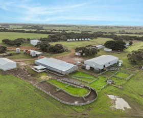 Rural / Farming commercial property for sale at 1048 Crabbs Road Newland SA 5223