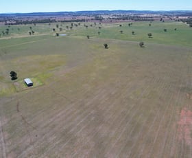 Rural / Farming commercial property for sale at "Ben Hall Park" Yarrangong Road Forbes NSW 2871