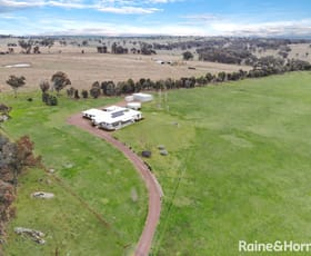 Rural / Farming commercial property for sale at 87 Macbeth's Road Maimuru NSW 2594