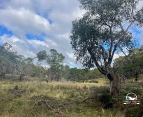 Rural / Farming commercial property sold at UNDER CONTRACT Paddys Dam Road Tooborac VIC 3522