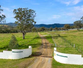 Rural / Farming commercial property for sale at 2370 Waverley Road Timor NSW 2338