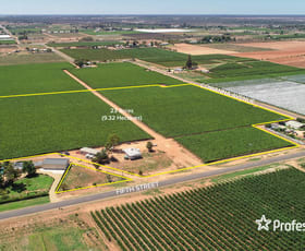 Rural / Farming commercial property for sale at 344 Fifth Street Merbein VIC 3505