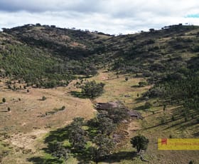 Rural / Farming commercial property for sale at 2/1324 Yarrabin Road Mudgee NSW 2850