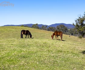 Rural / Farming commercial property for sale at 173 Lemans Road Yarranbella NSW 2447