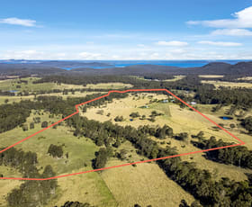 Rural / Farming commercial property for sale at 159 Halloran Road North Arm Cove NSW 2324