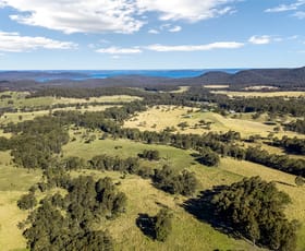 Rural / Farming commercial property for sale at 159 Halloran Road North Arm Cove NSW 2324