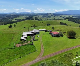 Rural / Farming commercial property for sale at 279 Hosie Road Tarzali QLD 4885