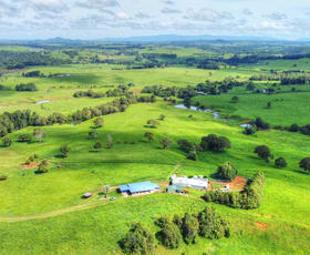 Rural / Farming commercial property for sale at Cnr Clarkes Track & Ford Road Malanda QLD 4885