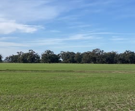 Rural / Farming commercial property sold at Warracknabeal VIC 3393