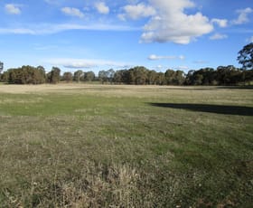 Rural / Farming commercial property sold at 0 Dunolly Road St Arnaud VIC 3478