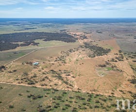 Rural / Farming commercial property sold at 280 Swamp Road Truro SA 5356