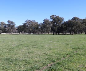 Rural / Farming commercial property for sale at 84 West Jindalee Road Cootamundra NSW 2590