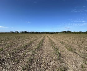 Rural / Farming commercial property for sale at El Arish QLD 4855
