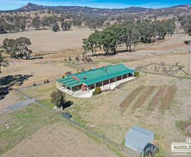 Rural / Farming commercial property for sale at 165 Roos Road Tenterfield NSW 2372