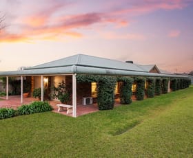 Rural / Farming commercial property sold at 295 Lower Piambong Road Mudgee NSW 2850