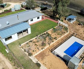 Rural / Farming commercial property sold at 174 Nabaroo Road Cowalla WA 6503
