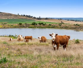 Rural / Farming commercial property sold at 296 Barr Road Clontarf QLD 4357