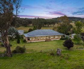 Rural / Farming commercial property for sale at 64 Rocky Glen Lane Mudgee NSW 2850