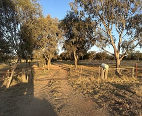 Rural / Farming commercial property for sale at Lot 133 Troths Lane Quandialla NSW 2721