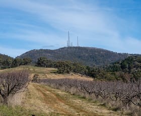 Rural / Farming commercial property sold at 'Tullmax Lodge' Lot 2 103 Old Canobolas Road Orange NSW 2800