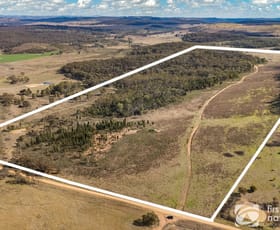 Rural / Farming commercial property sold at 189 Montaza Road Gulgong NSW 2852