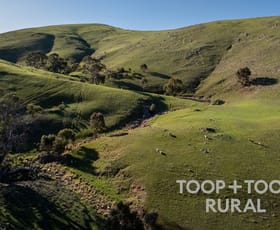 Rural / Farming commercial property sold at 279/ Three Chain Road Sanderston SA 5237