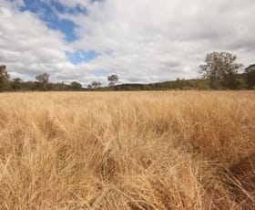 Rural / Farming commercial property for sale at Lot 114 Kerwee Road Eidsvold QLD 4627