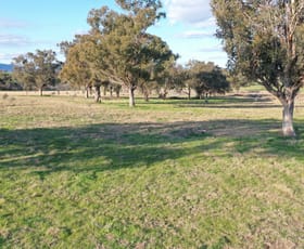 Rural / Farming commercial property for sale at Lot 5 Warral-Bithramere Road Tamworth NSW 2340