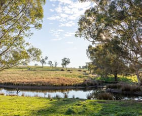Rural / Farming commercial property for sale at Lot 289 Garryowen Road Binalong NSW 2584
