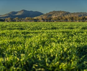 Rural / Farming commercial property for sale at 9853 Bruxner Highway Bonshaw NSW 2361