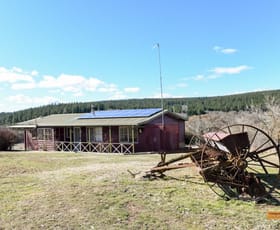 Rural / Farming commercial property sold at "Tarcoola" 227 Craigie Road Craigie NSW 2632