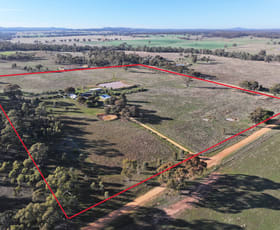 Rural / Farming commercial property for sale at 1278 Burkes Flat-Wedderburn Road Fentons Creek VIC 3518