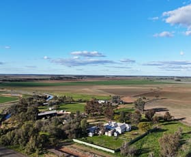 Rural / Farming commercial property for sale at Farm 205/347 Fairlie Grange Road Coleambally NSW 2707