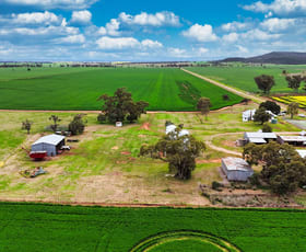 Rural / Farming commercial property for sale at 203 Bakers Road Gunnedah NSW 2380