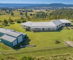 Rural / Farming commercial property for sale at 172 Birnam Range Road Beaudesert QLD 4285